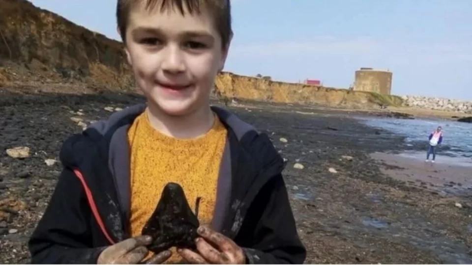 Menino de 6 anos encontra dente de tubarão Megalodon em praia, no Reino Unido