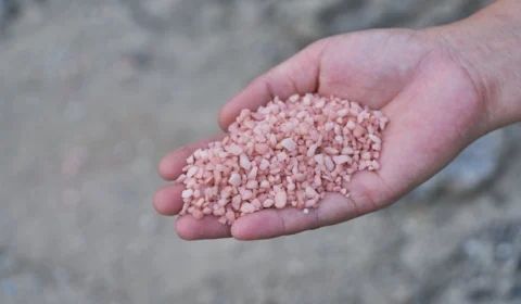 Reserva de potássio em Autazes-AM pode gerar até 8 mil empregos na produção de fertilizantes ao país, diz Sedecti