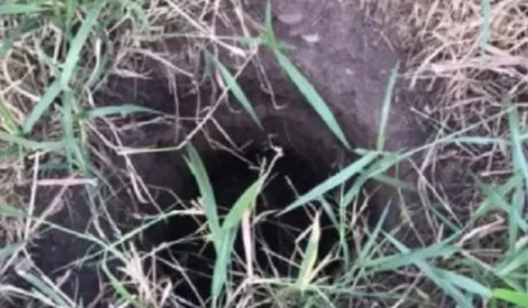 Bebê é resgatado com vida após passar dois dias dentro de buraco, na Bahia