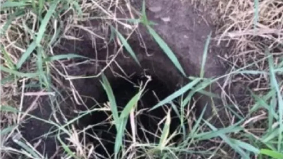 Bebê é resgatado com vida após passar dois dias dentro de buraco, na Bahia