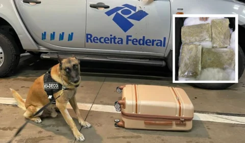 Agentes canino encontram 29,4 kg de maconha dentro de malas no Aeroporto Internacional Eduardo Gomes, em Manaus