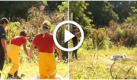 VÍDEO: corpo em decomposição é encontrado em córrego na Zona Leste de Manaus