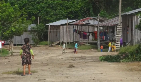 Consumo de carne de caça traz benefícios para saúde de crianças ribeirinhas da Amazônia, diz estudo