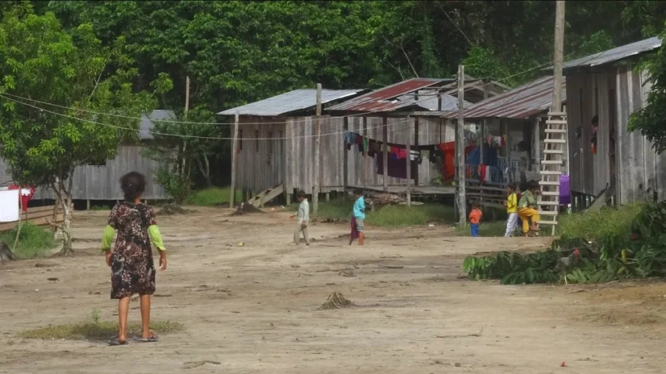 Consumo de carne de caça traz benefícios para saúde de crianças ribeirinhas da Amazônia, diz estudo