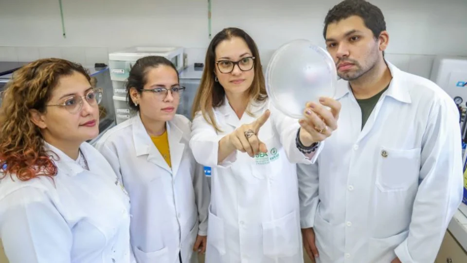 Curativos para serem usados no tratamento do câncer de pele estão sendo desenvolvidos por pesquisadores do Amazonas