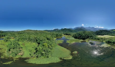 Atividade humana tem potencial de aumentar perda de carbono florestal em 15,24% na Mata Atlântica, aponta USP