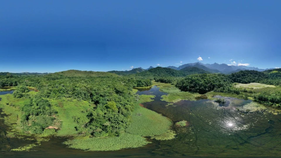 Atividade humana tem potencial de aumentar perda de carbono florestal em 15,24% na Mata Atlântica, aponta USP