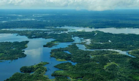 Pré-estudo para criação do Instituto de Tecnologia da Amazônia será apresentando em Webinar nesta quarta-feira (13/07)