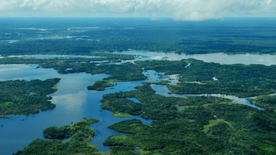 Pré-estudo para criação do Instituto de Tecnologia da Amazônia será apresentando em Webinar nesta quarta-feira (13/07)