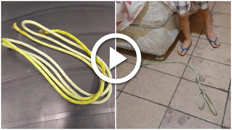 VÍDEO: conselho tutelar resgata duas crianças que foram amarradas pelo pai em Manaus