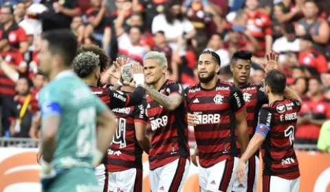 Com gol salvador de Pedro, Flamengo vence Goiás por 1 a 0 pelo Brasileirão