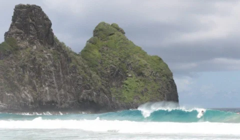 Rondoniense é mordido por tubarão em praia de Fernando de Noronha
