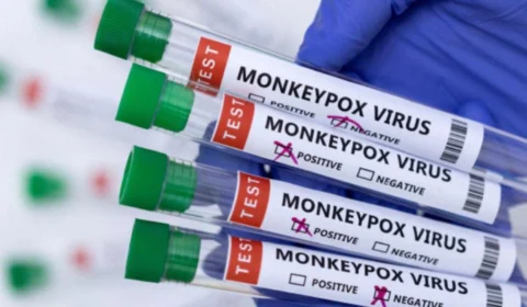 Vacina contra varíola dos macacos deve ser aplicada a pessoa exposta à contaminação