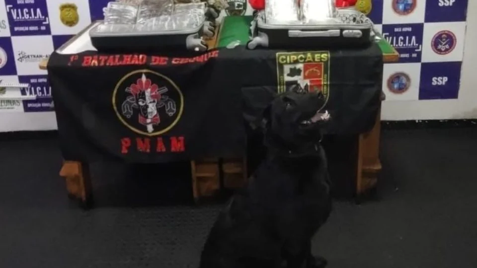 Adolescente é apreendido com 10 kg de drogas em embarcação no interior do Amazonas