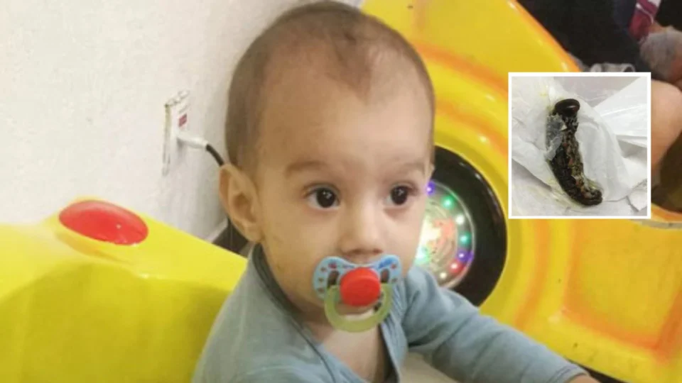 Bebê de sete meses morre após engolir lagarta no Espírito Santo