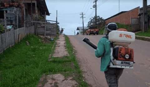 Amazonas tem redução de 64% nos casos notificados de dengue