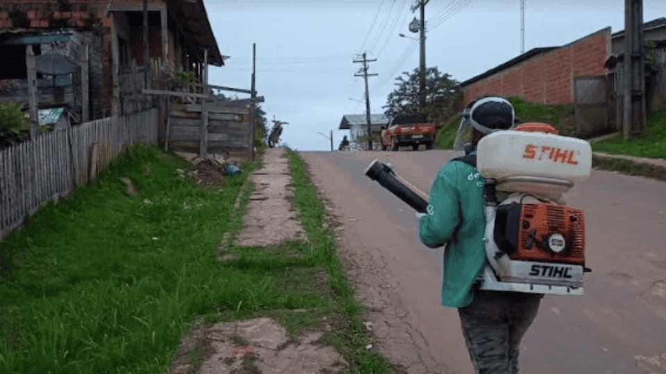 Amazonas tem redução de 64% nos casos notificados de dengue