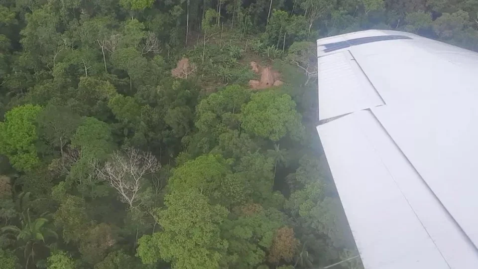 MPF emite recomendações à União e Funai para que modernizem bases no Vale do Javari, no AM