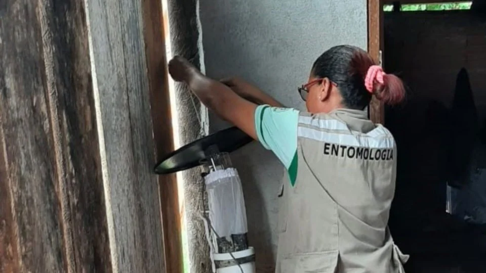 FVS investiga caso de Leishmaniose Visceral Canina, em Nhamundá-AM