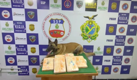 Polícia encontra mais de 6 kg de drogas em lixeira de embarcação, no Amazonas