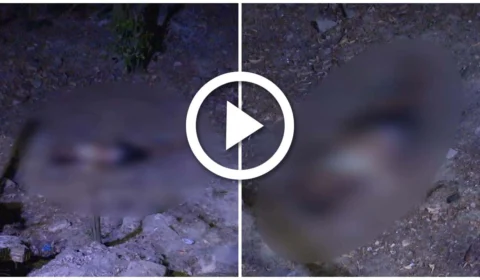 VÍDEO: suspeito de assaltar ônibus é executado na Zona Norte de Manaus