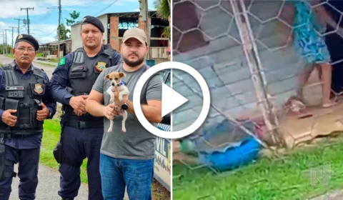 VÍDEO: no AM, mulher é flagrada chutando filhote de cachorro e gera revolta em vizinhos