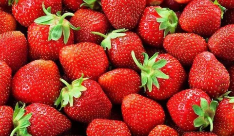 Surto de hepatite A pode estar ligado ao consumo de morangos orgânicos, diz agência de saúde dos EUA