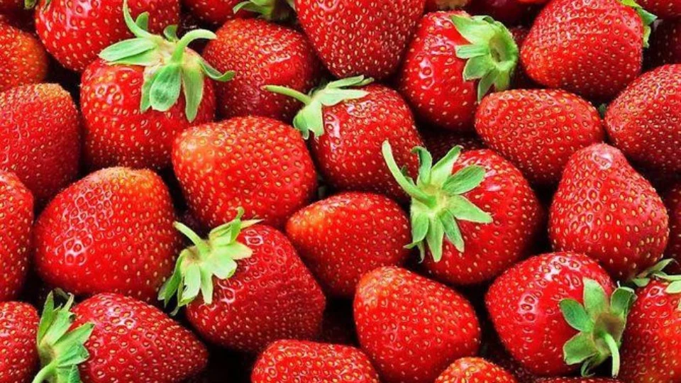 Surto de hepatite A pode estar ligado ao consumo de morangos orgânicos, diz agência de saúde dos EUA