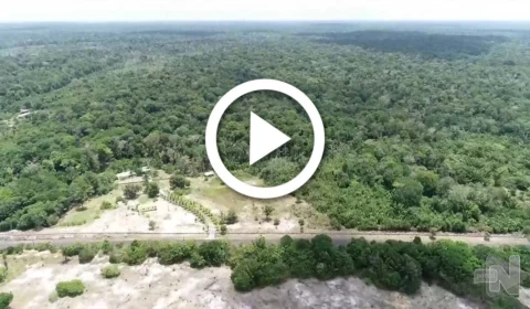 VÍDEO: Vale do Javari, onde jornalista e indigenista desapareceram, é marcado por disputa entre facções criminosas