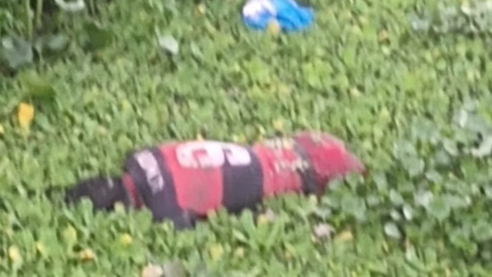 Corpo de homem é encontrado em igarapé de Manaus