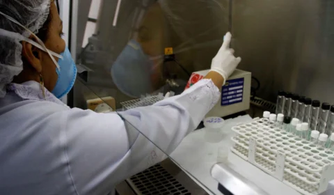 Monkeypox: Amazonas tem 9 casos suspeitos de varíola dos macacos