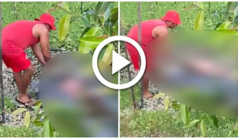 VÍDEO: corpo é encontrado queimado e boiando em igarapé de Manaus