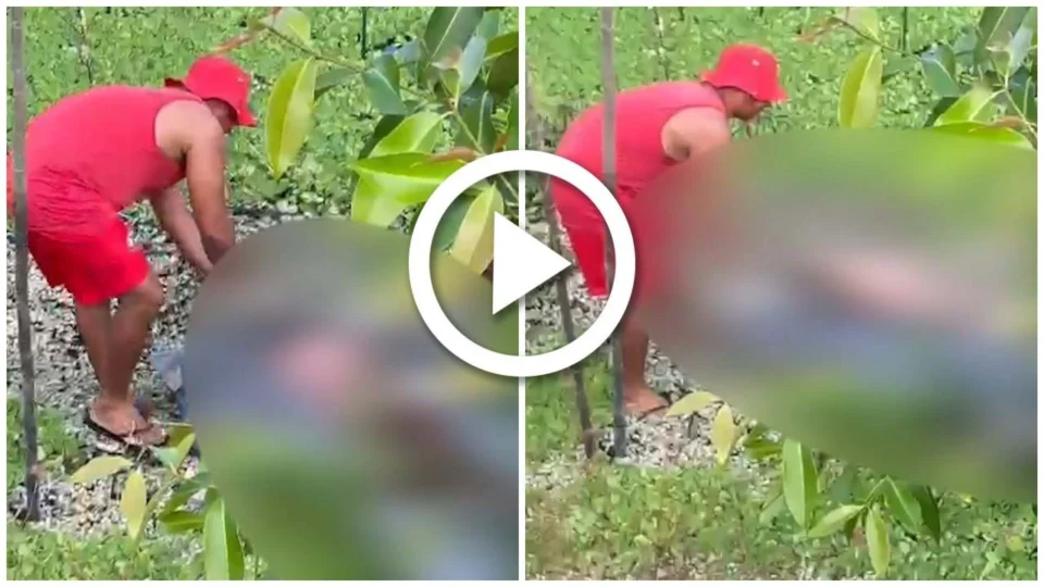 VÍDEO: corpo é encontrado queimado e boiando em igarapé de Manaus