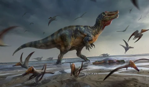 Paleontologistas britânicos encontram restos do maior carnívoro que já existiu na Europa