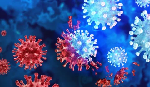 Brasil confirma primeiro caso da ômicron XE