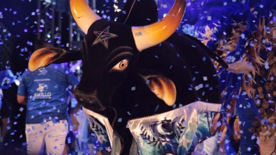 Boi Caprichoso vence o 55º Festival Folclórico de Parintins