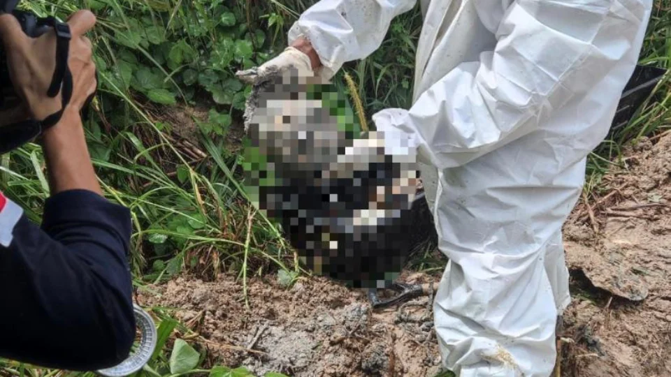 Ossada é encontrada enterrada em área de mata no Parque dos Buritis, em Manaus