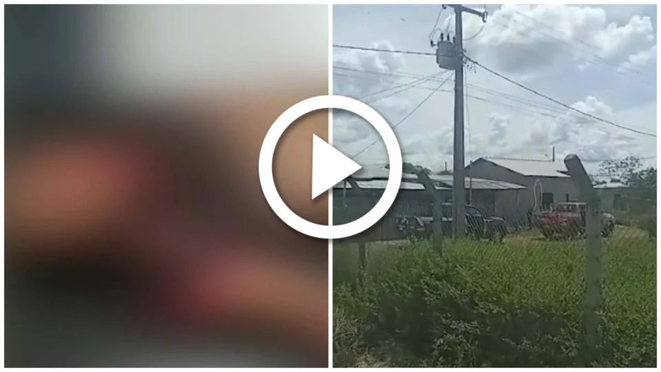 VÍDEO: assalto em lotérica termina em morte no município Terra Santa, interior do Pará