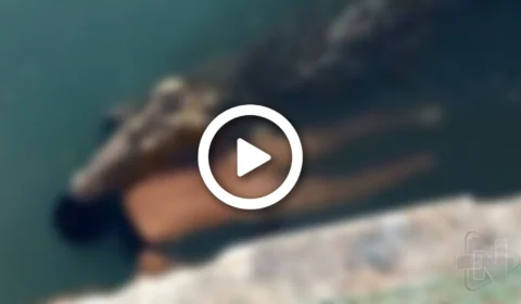 VÍDEO: crocodilo de 3,5 metros mata homem que nadava em lago no México