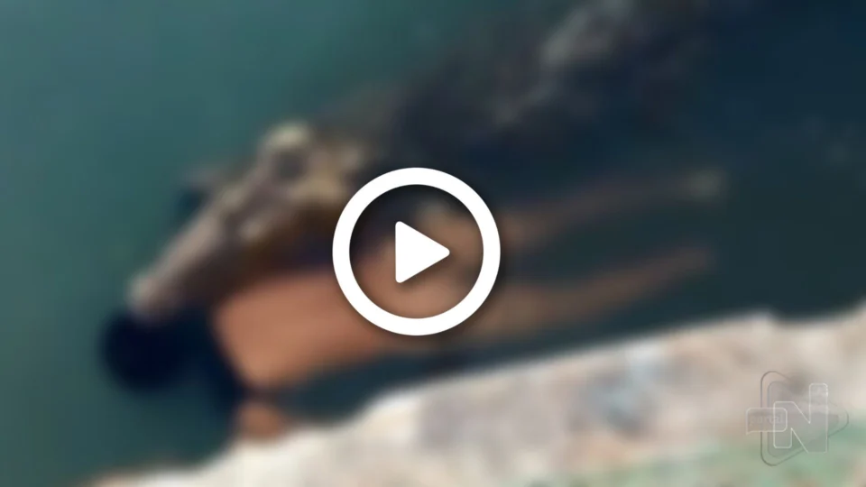 VÍDEO: crocodilo de 3,5 metros mata homem que nadava em lago no México