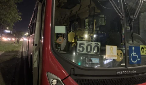 Suspeito de assaltar ônibus em Manaus é morto a pauladas
