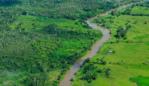 ONU pede proteção a ativistas e reforço na Funai e Ibama, após morte de Bruno Pereira e Dom Phillips