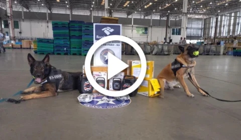 VÍDEO: drogas escondidas em caixas de som são apreendidas no aeroporto de Manaus