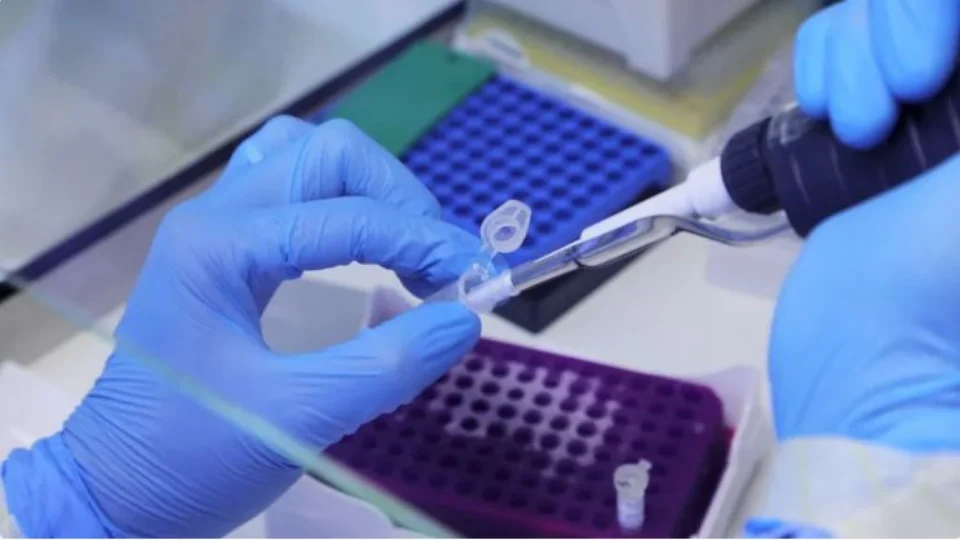 Saiba o que é mito ou verdade sobre varíola dos macacos