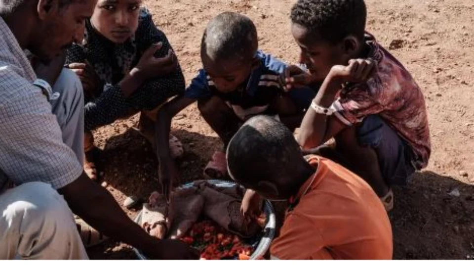 IDH mundial cai por dois anos seguidos e Brasil fica na 97ª posição do ranking