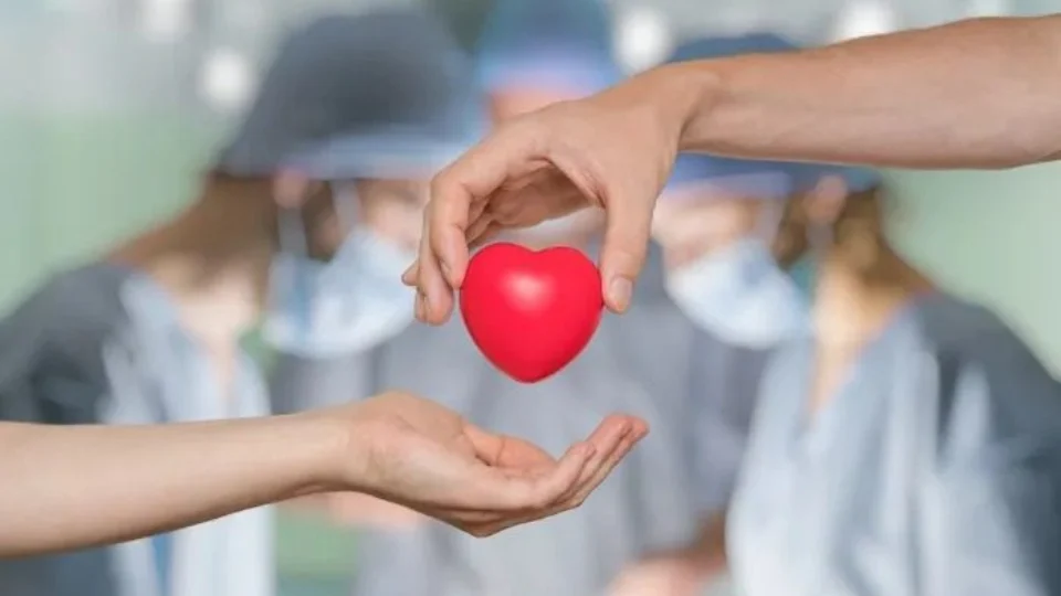 Setembro Verde: Aleam divulga apoio e sensibiliza sobre doação de órgãos