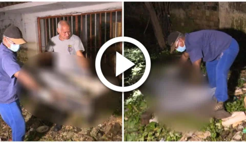 VÍDEO: corpo boia e é retirado do rio na orla de Manaus