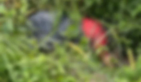 Corpo em elevado estado de decomposição é encontrado em área de mata na Zona Leste de Manaus