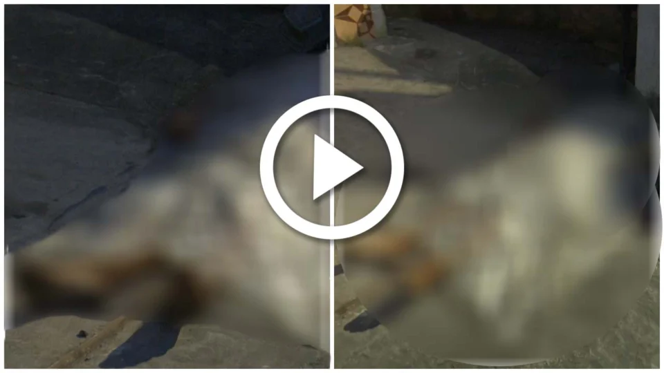 VÍDEO: suspeito de assalto morre depois de ser baleado na Zona Leste de Manaus