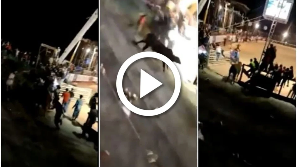 VÍDEO: touro invade arquibancada de rodeio, em Minas Gerais; ao menos 13 pessoas ficam feridas